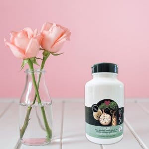 Whatsapp image 2025 03 31 at 09.33.19 176911fb