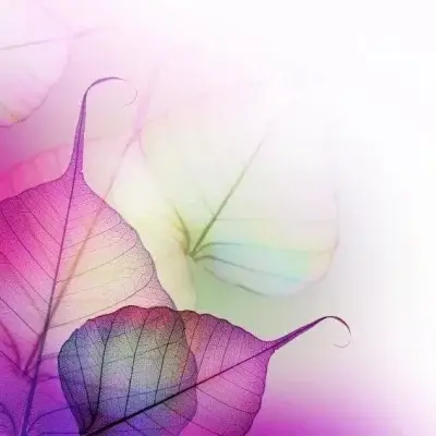 Beautiful
