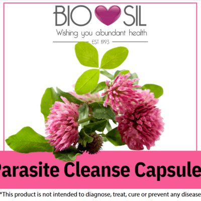 Parasite cleanse