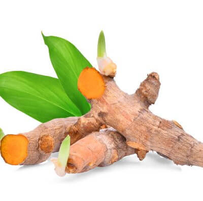 Turmeric root with green leaves isolated on white background