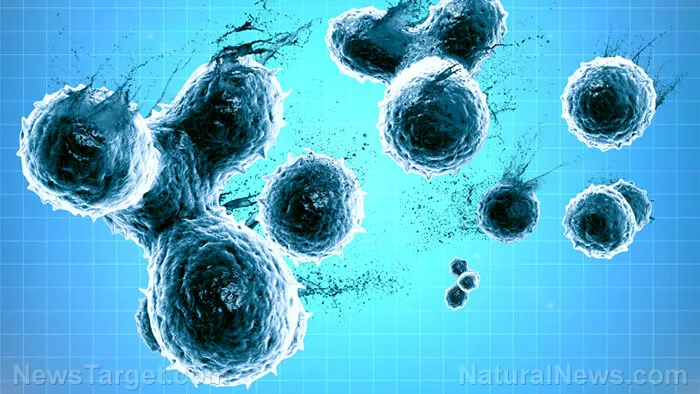 Cells Attached Synthetic Chemicals