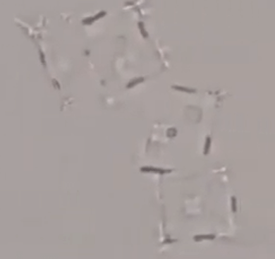 Screenshot 2025 12 13