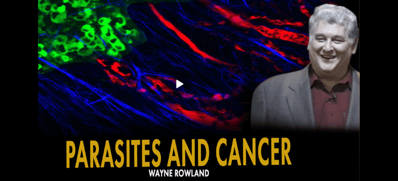 Wayne Rowland