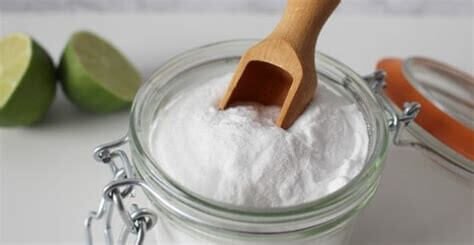 Borax e1623679906653