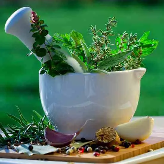 Herbs