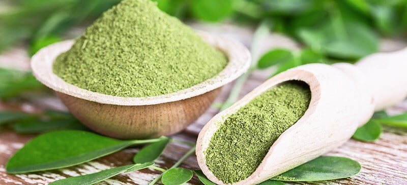 Moringa powder