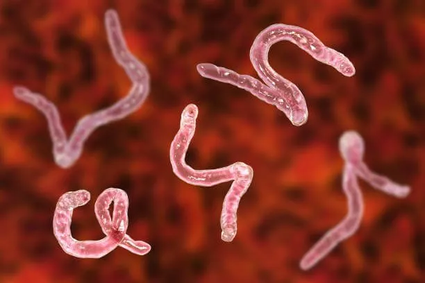 Parasites