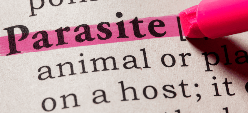 Parasites