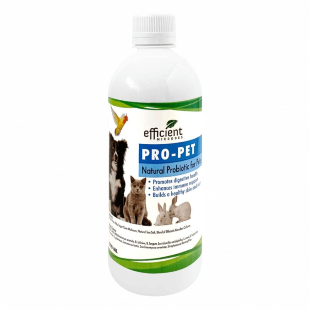 Probiotic for Pets:  Pro-Pet