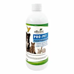 Probiotic for Pets:  Pro-Pet