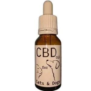 CBD Oil for Cats & Dogs