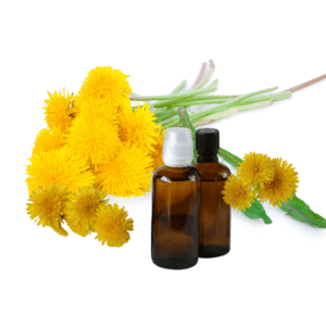 Dandelion Tincture