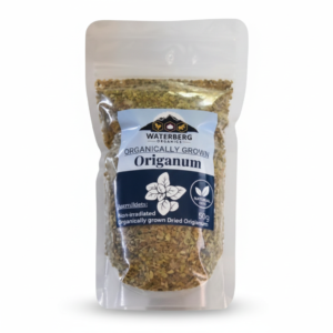 Origanum