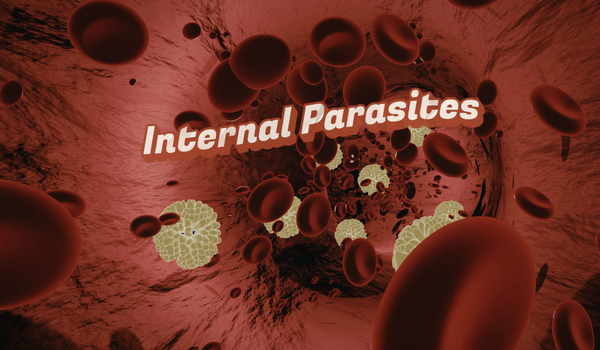 Parasites