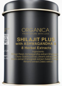 Screenshot 2026 03 12