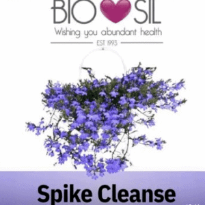 Spike Cleanse combo special