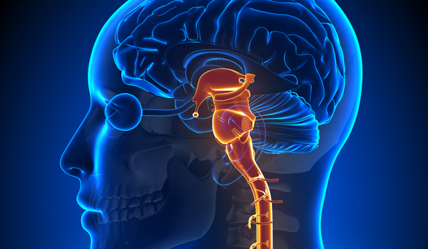 Vagus Nerve