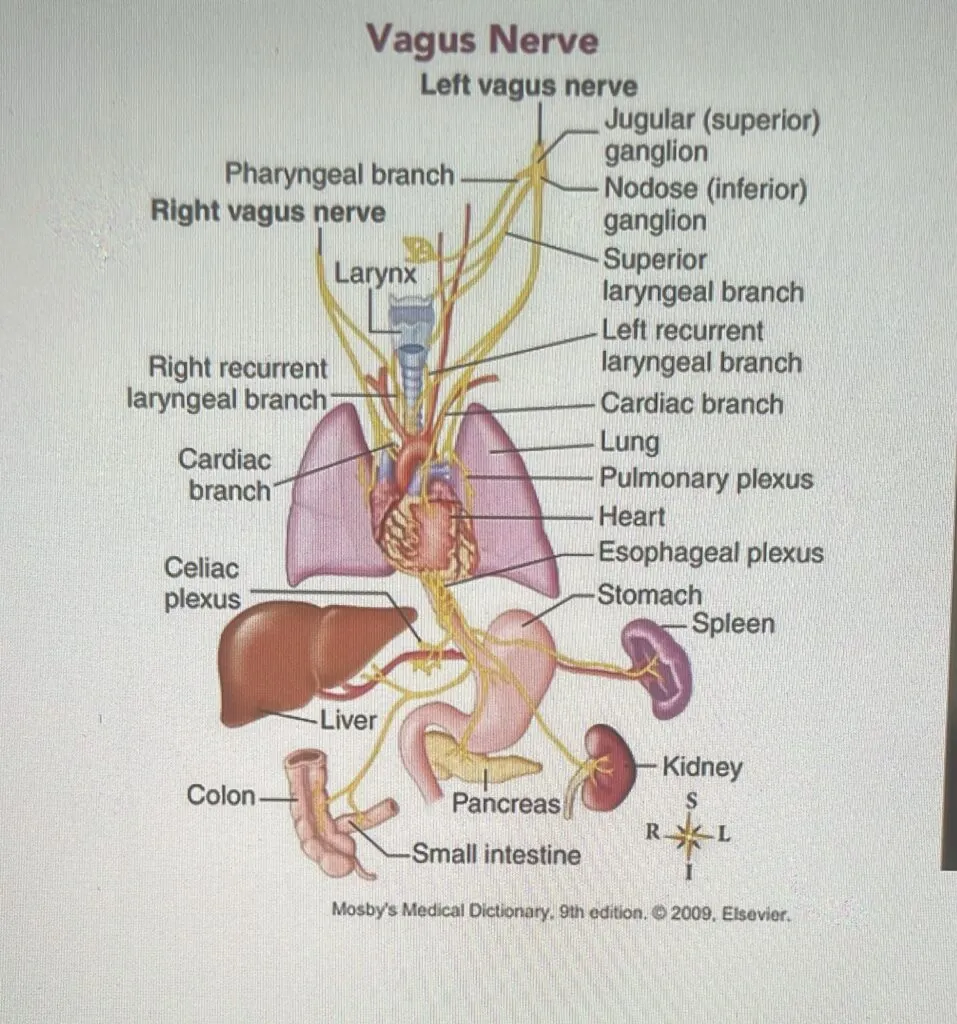 WhatsApp Image 2026 02 23 at 05.50.34