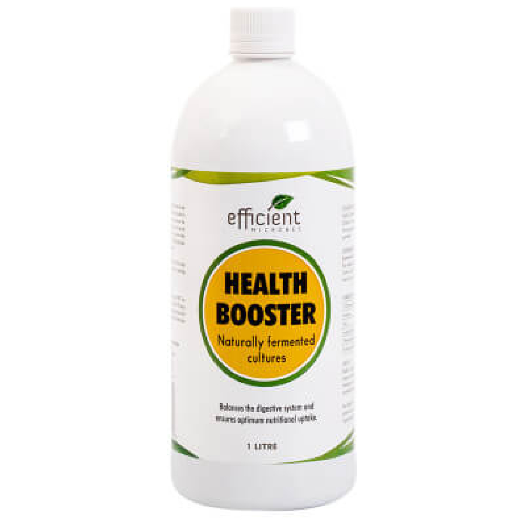 Probiotic Health Booster