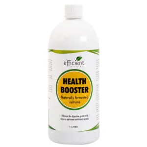 Probiotic Health Booster