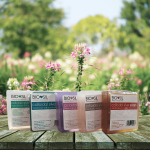 Soap collection 2.png