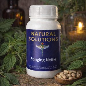 Stinging nettle