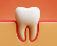 Tooth