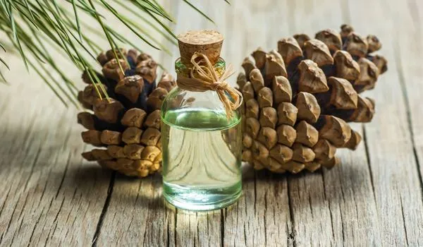 Pine oil