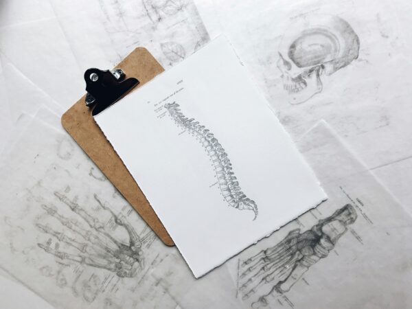 BackPain