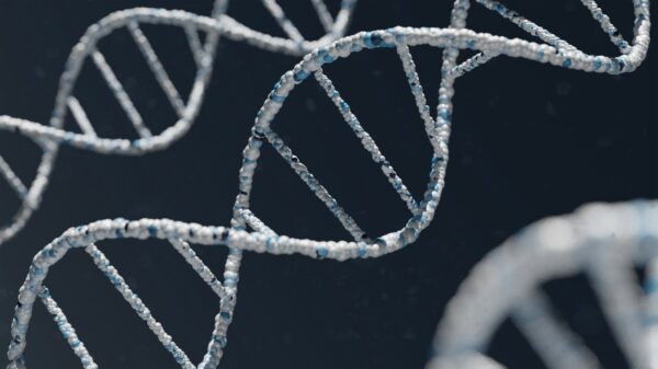 Zincdna