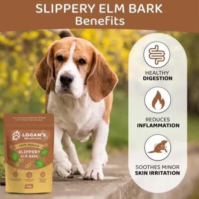 Slippery elm